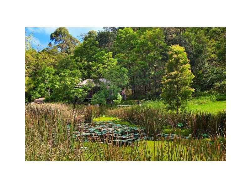 168 Cabbage Tree Road, Grose Vale NSW 2753