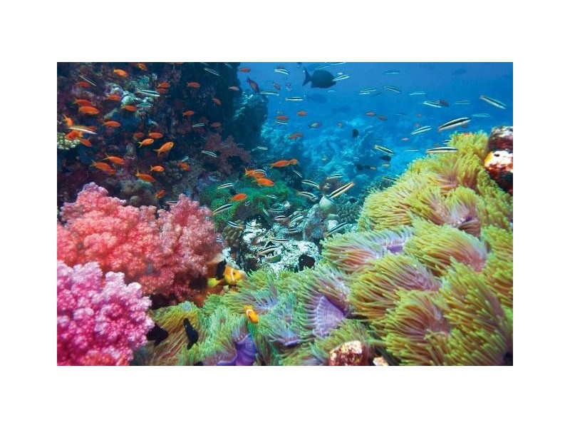 Springs Road, Agnes Water QLD 4677