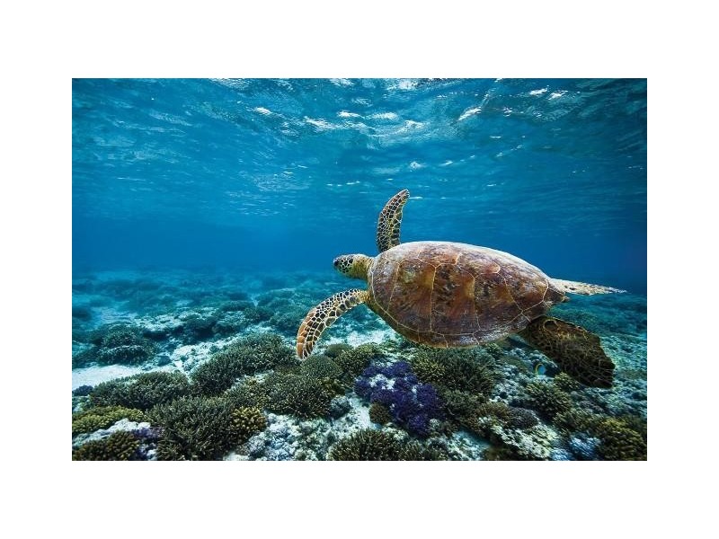 Springs Road, Agnes Water QLD 4677