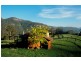 Lot 4,  Bunkers Hill Road, Kangaroo Valley NSW 2577