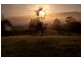 Bunkers Hill Road, Kangaroo Valley NSW 2577