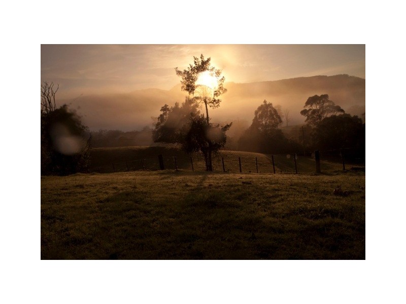 Bunkers Hill Road, Kangaroo Valley NSW 2577