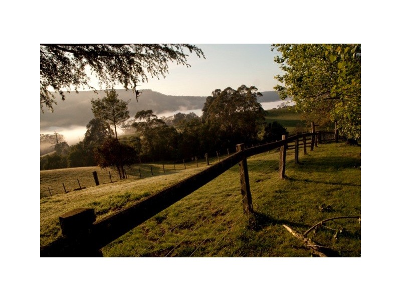 Bunkers Hill Road, Kangaroo Valley NSW 2577