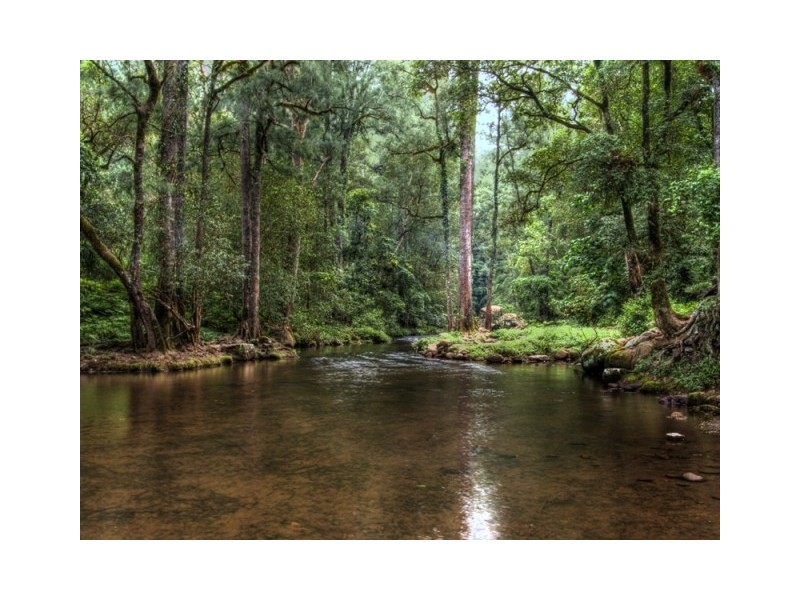 Bunkers Hill Road, Kangaroo Valley NSW 2577