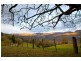 Bunkers Hill Road, Kangaroo Valley NSW 2577