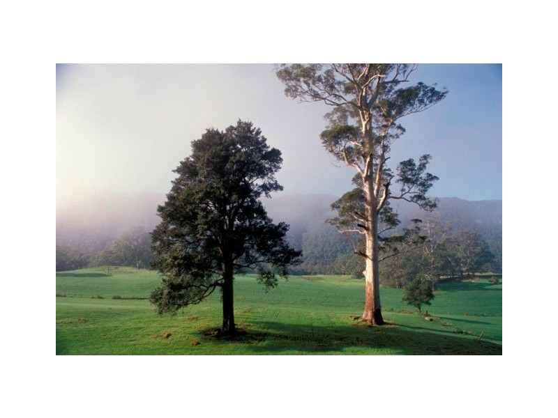Bunkers Hill Road, Kangaroo Valley NSW 2577