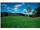 Bunkers Hill Road, Kangaroo Valley NSW 2577