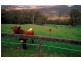 Bunkers Hill Road, Kangaroo Valley NSW 2577