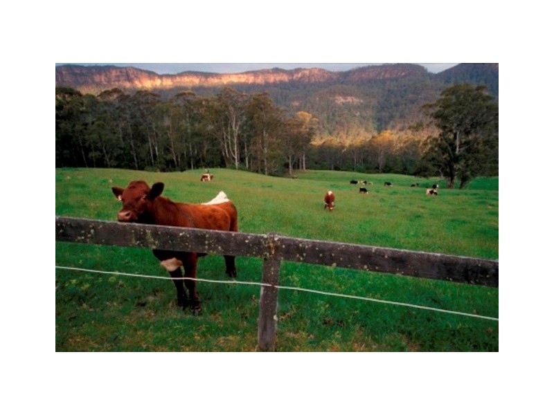 Bunkers Hill Road, Kangaroo Valley NSW 2577