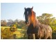 Bunkers Hill Road, Kangaroo Valley NSW 2577