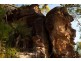 321 Morgans Road, Wendoree Park NSW 2250