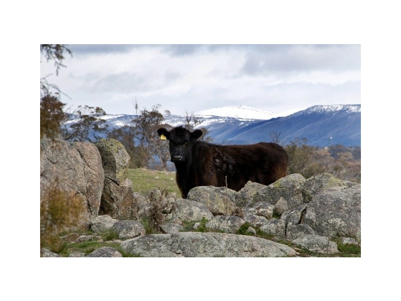 Lot 3,  Avonside Road, Jindabyne NSW 2627