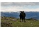Lot 4,  Avonside Road, Jindabyne NSW 2627