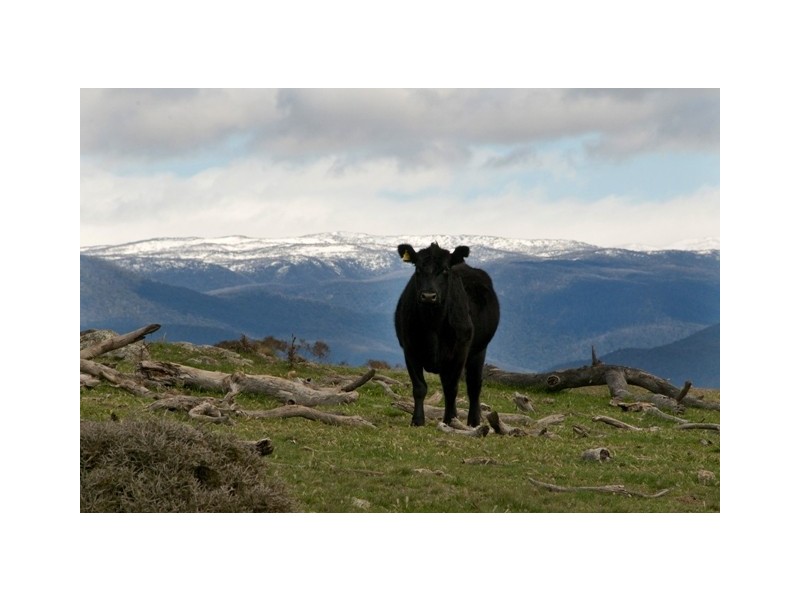 Lot 4,  Avonside Road, Jindabyne NSW 2627