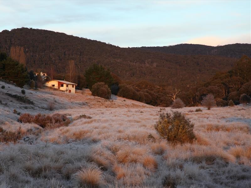 Golden Age Road, Moonbah NSW 2627