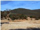 Golden Age Road, Moonbah NSW 2627