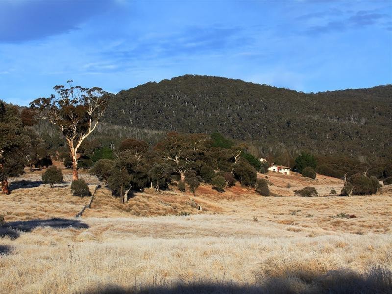 Golden Age Road, Moonbah NSW 2627