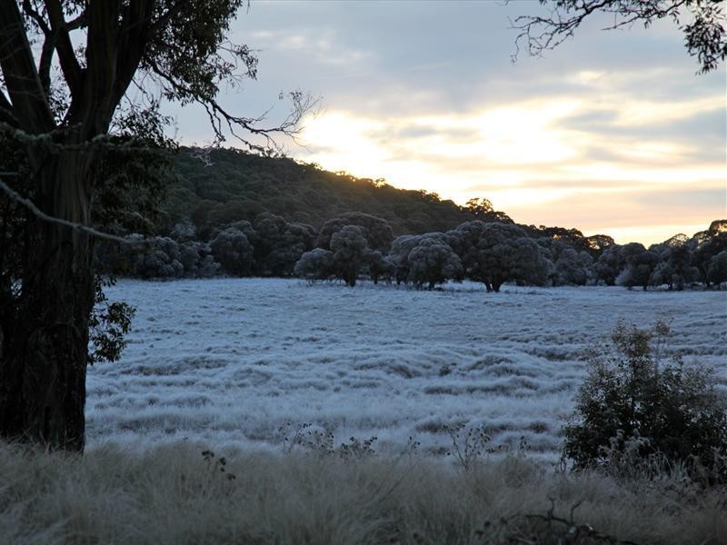 Golden Age Road, Moonbah NSW 2627