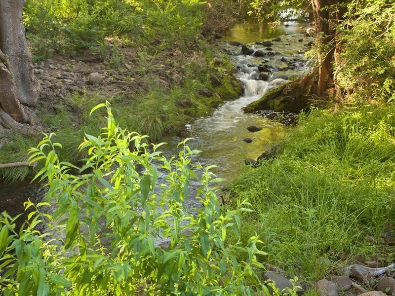 4 O’Keeffes Lane, Jaspers Brush NSW 2535