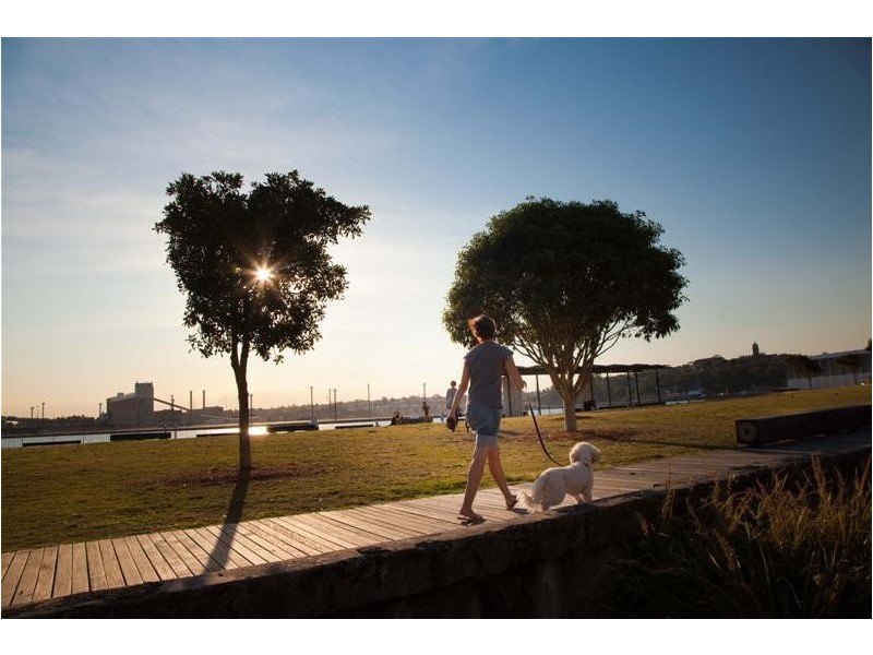 349 Bulwara Road, Sydney NSW 2000