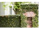 33 Mount Street, Hunters Hill NSW 2110