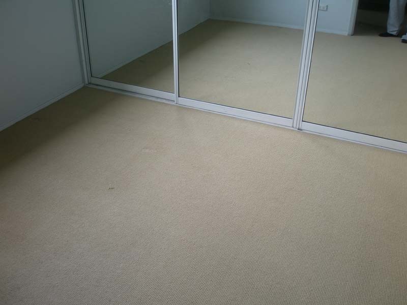 Georges Hall NSW 2198