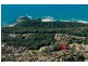 17 Reading Street, Port Macquarie NSW 2444