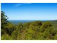 635 Red Hill Road, Telegraph Point NSW 2441