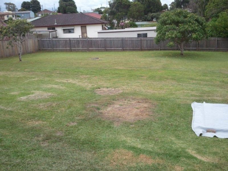 1 Short Street, Wauchope NSW 2446