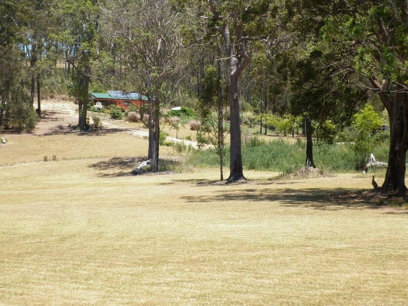 Telegraph Point NSW 2441