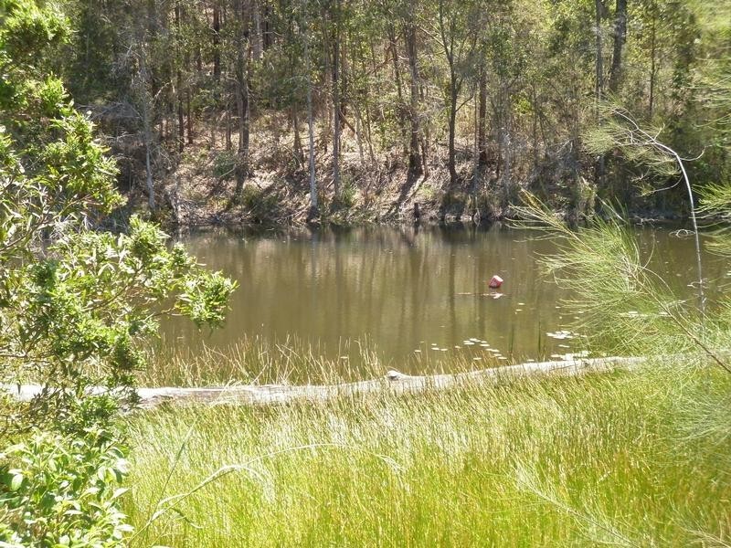 Telegraph Point NSW 2441