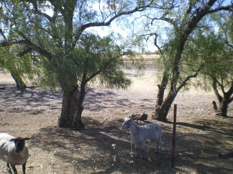 211 River Road, Dimboola VIC 3414