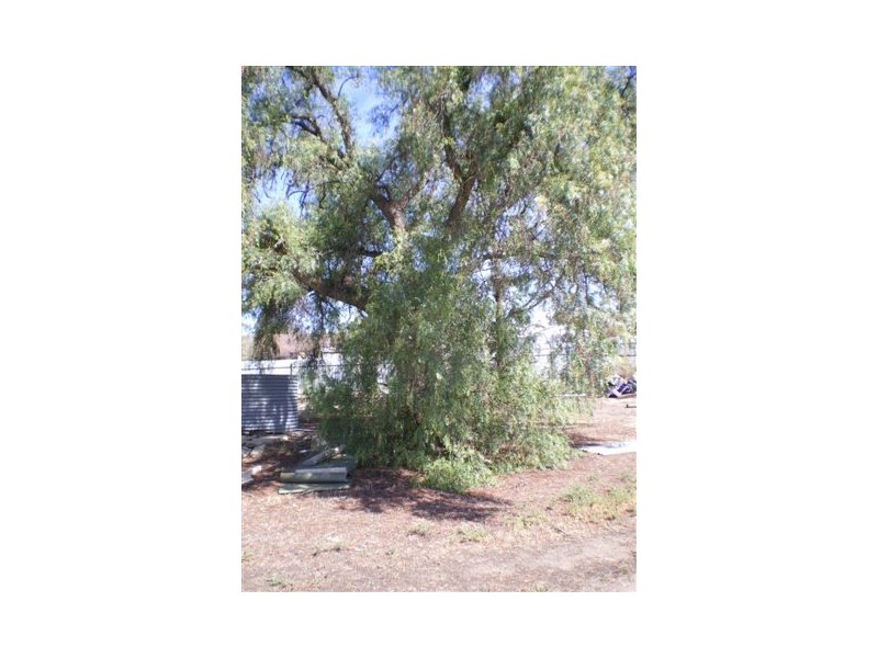 14-16 Molyneaux Street, Warracknabeal VIC 3393