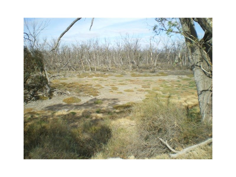 5 Daphine Street, Jeparit VIC 3423