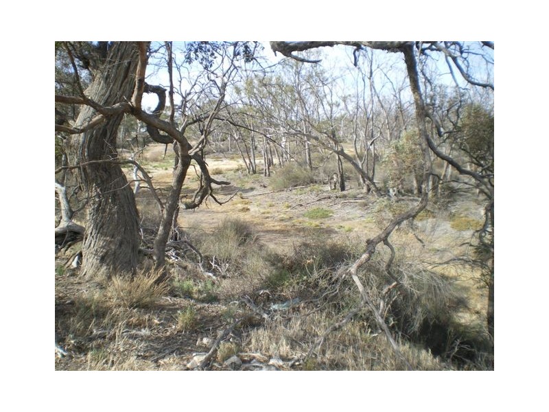 5 Daphine Street, Jeparit VIC 3423