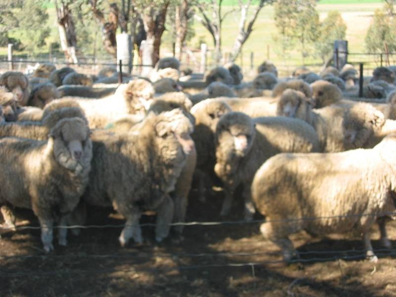 84 Pidgeon Hole Road,Nine Mile Via Wedderburn, Wedderburn VIC 3518