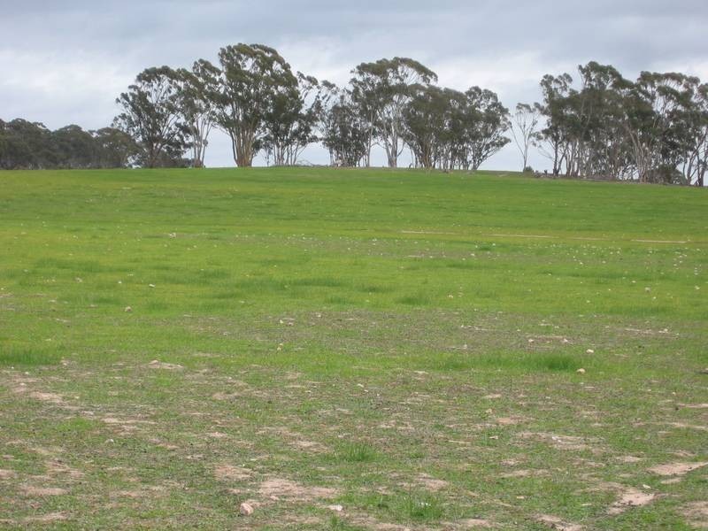 1 Berrimal Nine Mile Road Barrakee Via Wedderburn, Wedderburn VIC 3518