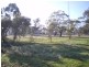 Thomas Street, Warracknabeal VIC 3393