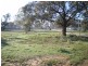 Thomas Street, Warracknabeal VIC 3393