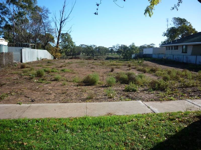 25 Hammill Street, Donald VIC 3480