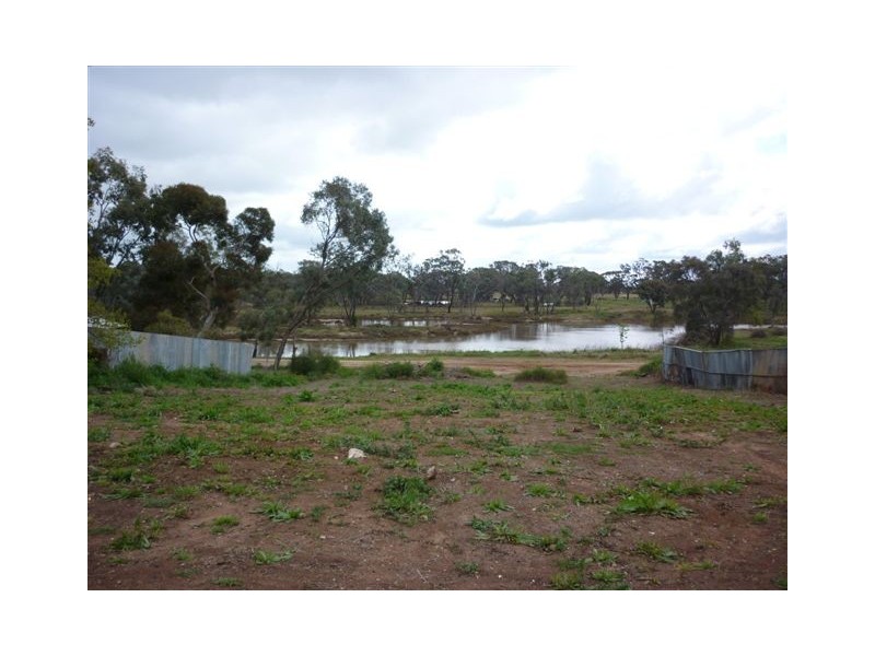 25 Hammill Street, Donald VIC 3480