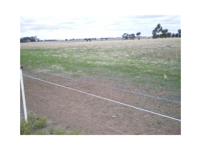 4095 Borung Highway, Warracknabeal VIC 3393