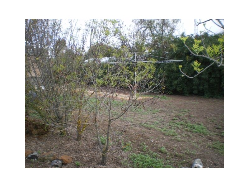 10 Church Street, Jung VIC 3399