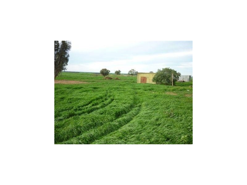 1916 Borung Highway, Donald VIC 3480