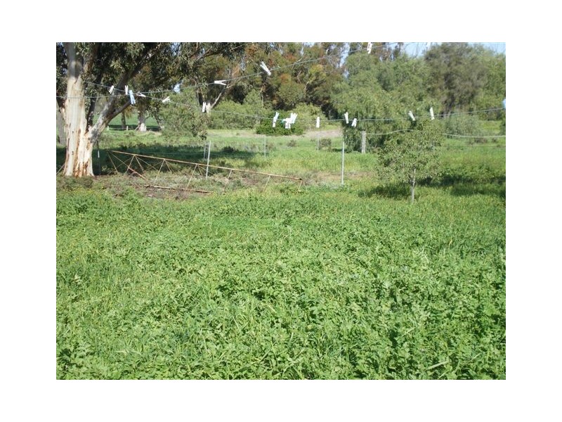 1 Murray Street, Rainbow VIC 3424