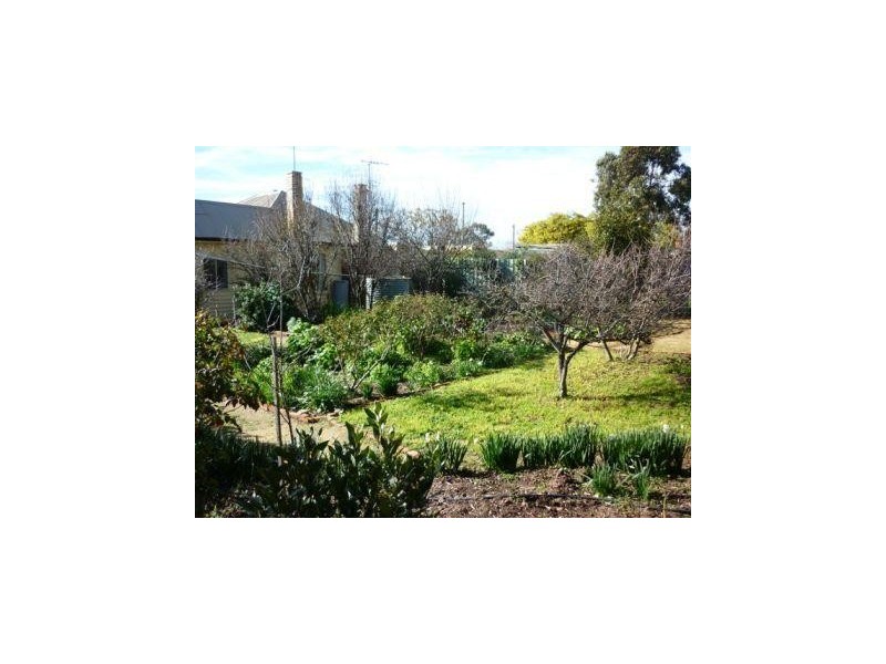 43 Millett St, St Arnaud VIC 3478
