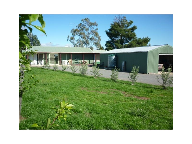 47 Abbott St, Birchip VIC 3483