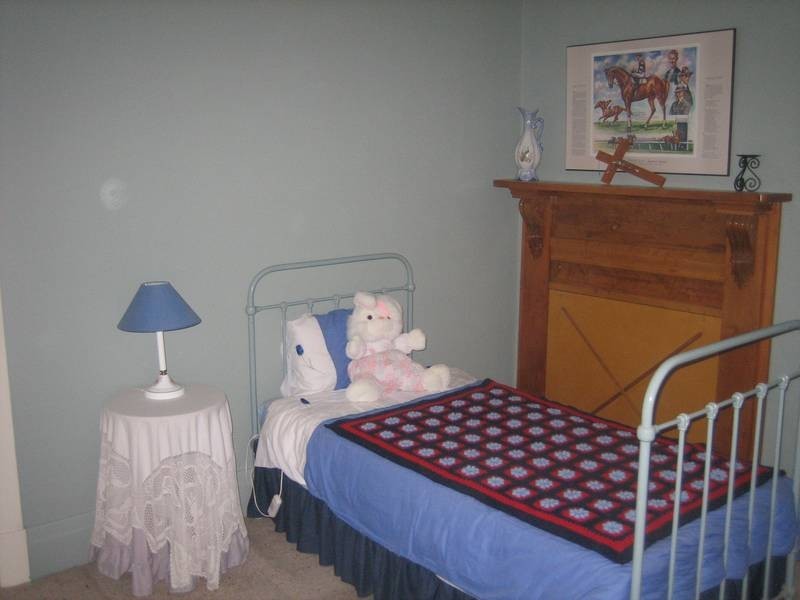 83 Woods St, Donald VIC 3480