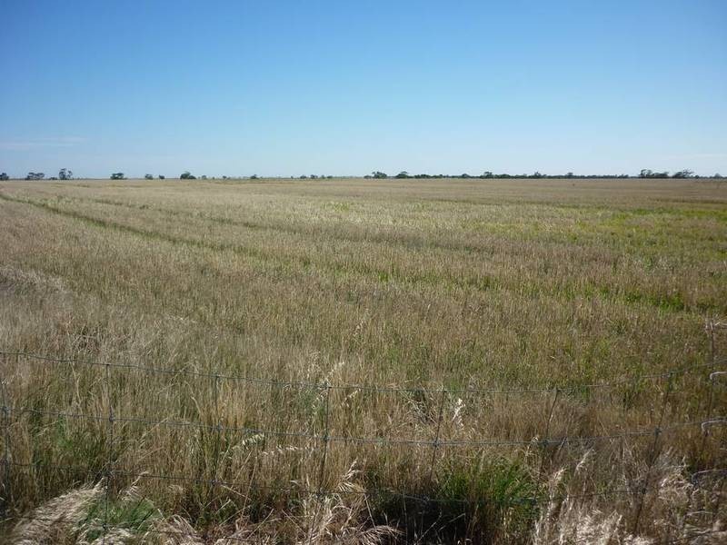 Lot CA6 Sec12,  Parish of Witchipool, Massey VIC 3482