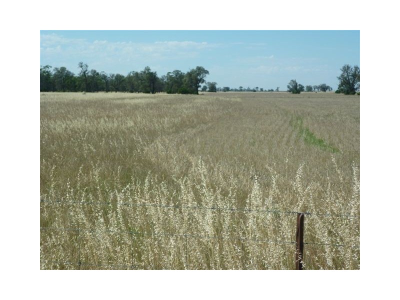 Lot CA6 Sec12,  Parish of Witchipool, Massey VIC 3482